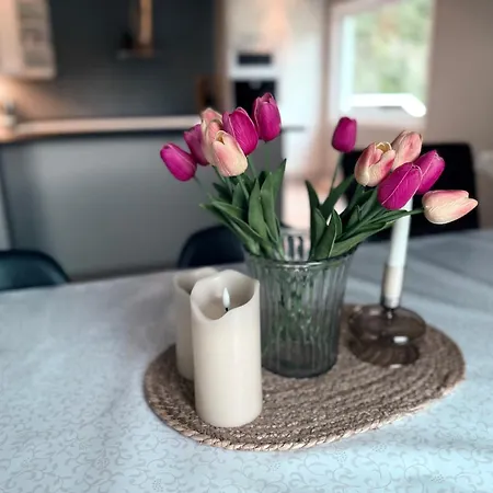 Scenic Fjord Home, Minutes From Pulpit Rock Villa